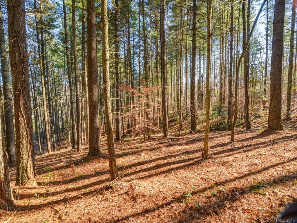 Property image 1 at Lot 4 Cane Creek Road, Fletcher, NC 28732