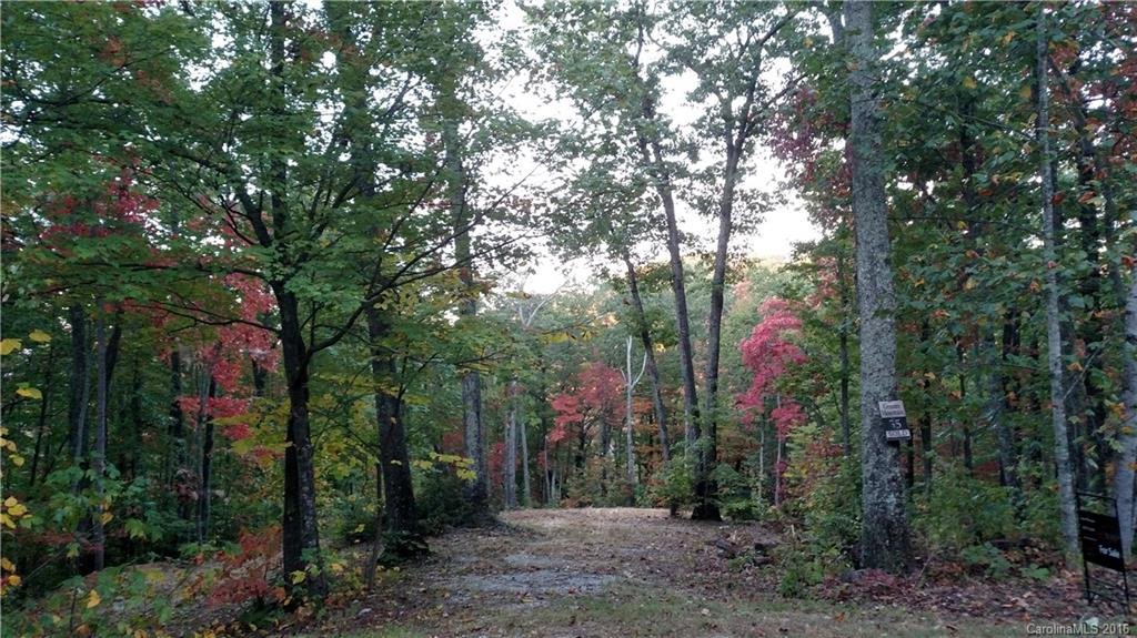 Lot 55 Grants Mountain Road