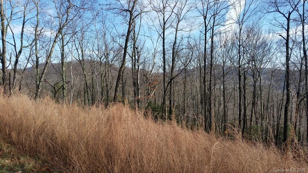 Property image 1 at Lot 151 Winterstar None, Lake Lure, NC 28746