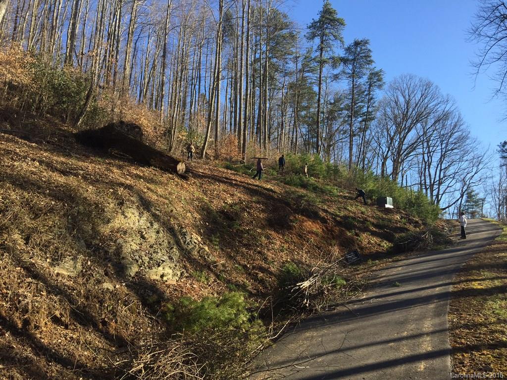 Property image 1 at 46 Ashwood Mountain Way, Candler, NC 28715