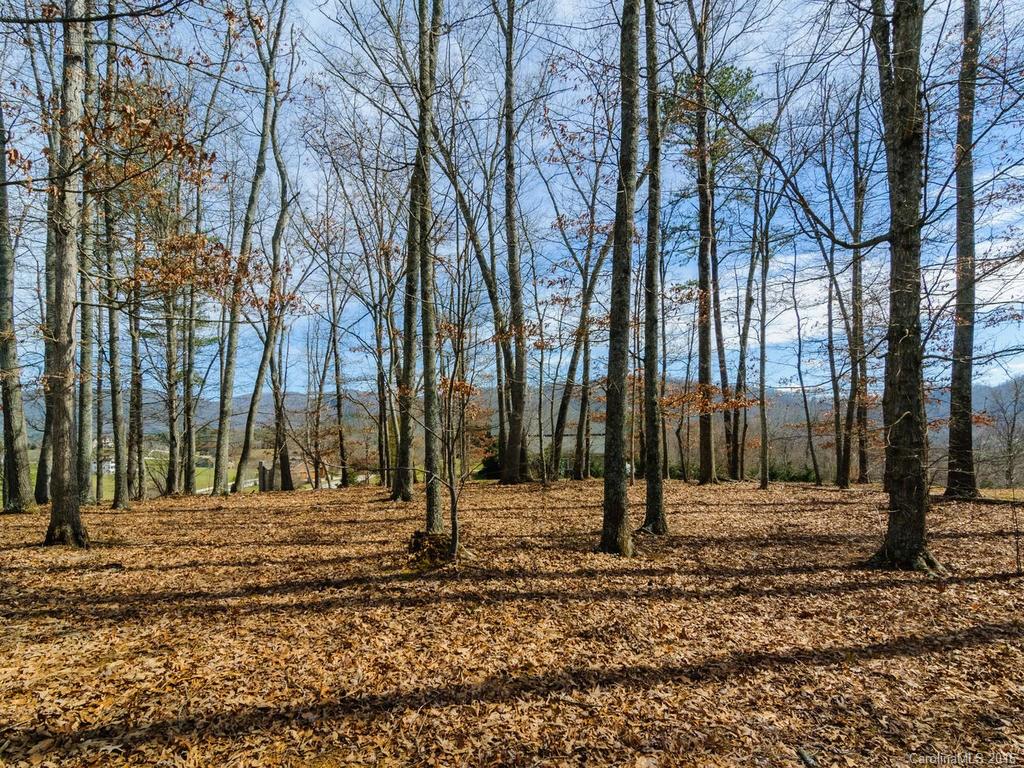 Property image 1 at 54 Bradford Vista, Fletcher, NC 28732