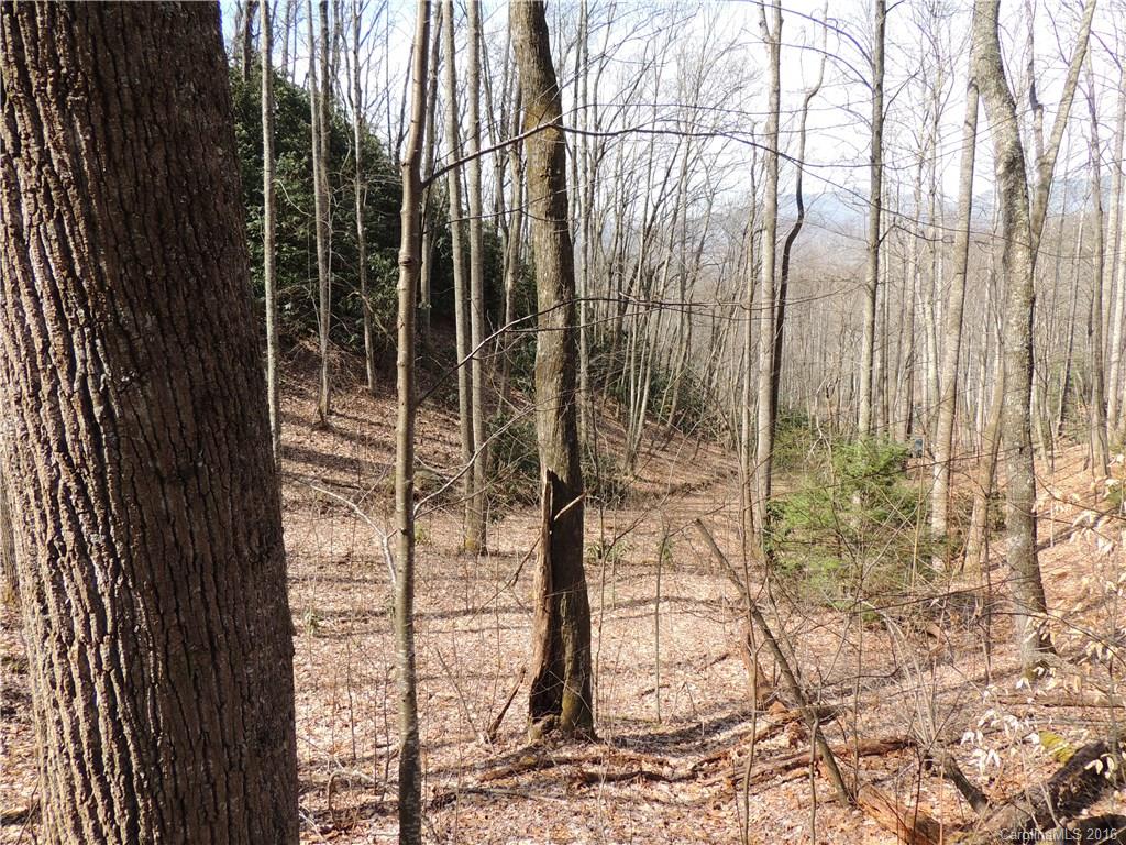 Property image 1 at Tbd Lot 07 Hunting Lodge Drive, Black Mountain, NC 28711