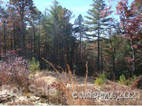 Property image 1 at 99 Oak Laurel Road, Brevard, NC 28712
