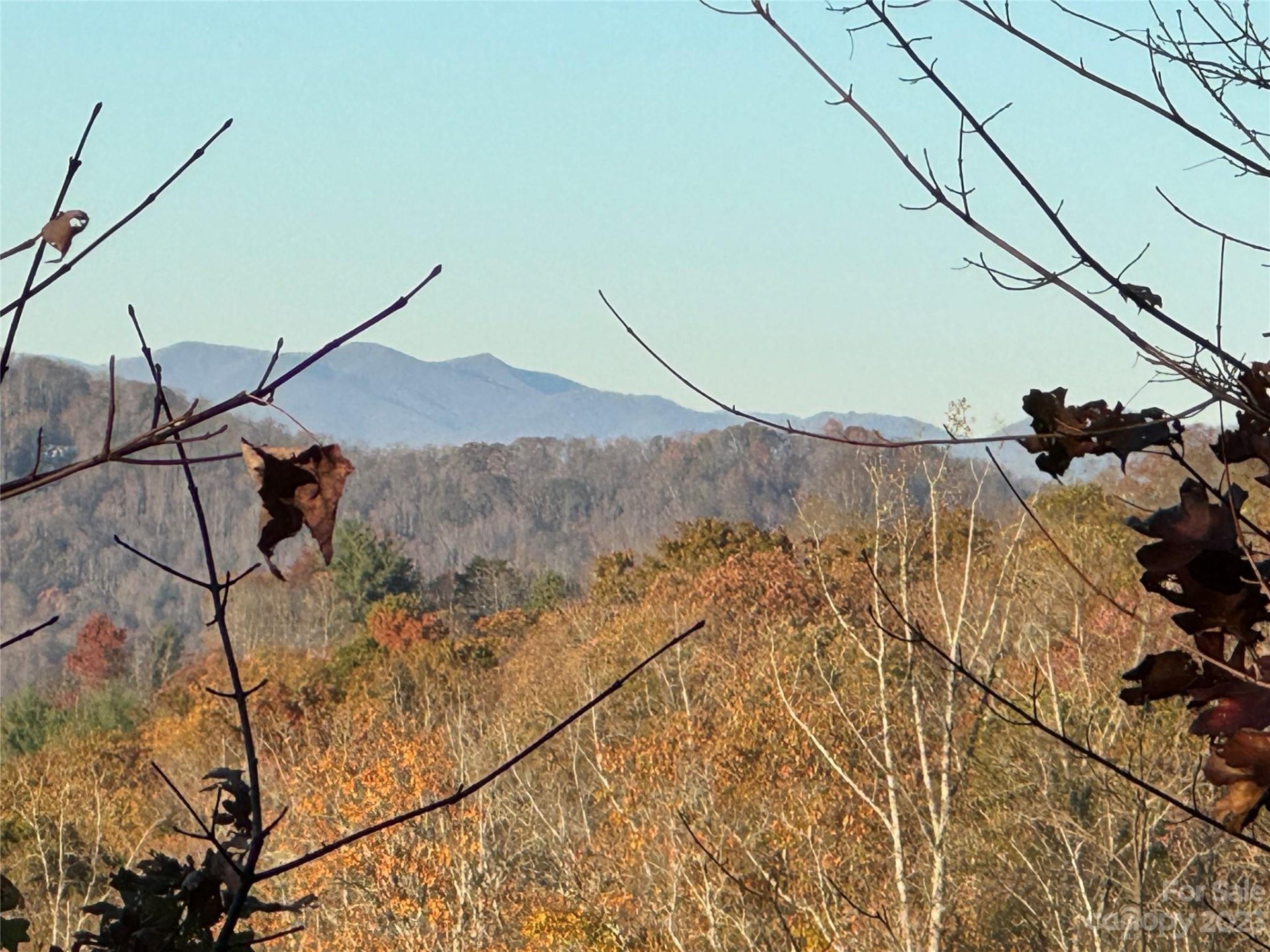 Property at 10 Clear Fork Lane, Fairview, NC 28730