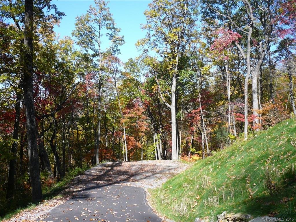 Property image 1 at 96 Castanea Mountain Drive, Asheville, NC 28803