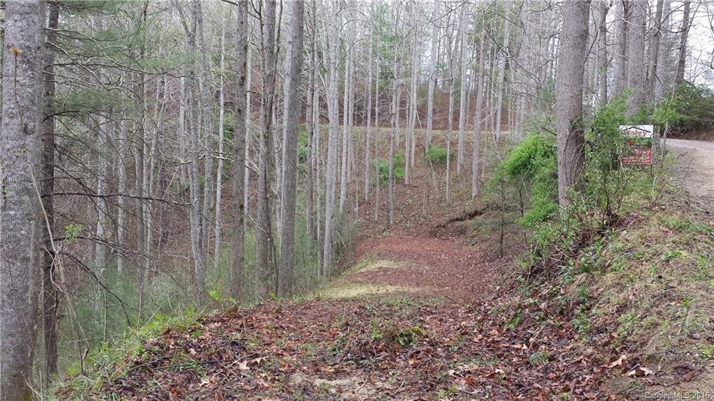 Property image 1 at 0000 Turtle Rock Highway, Flat Rock, NC 28731