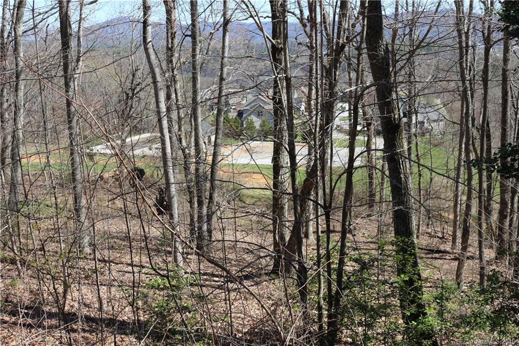 Property image 1 at 43 Springhead Court, Arden, NC 28704