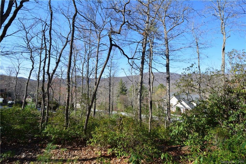 Property image 1 at 61 Nuthatch Court, Fairview, NC 28730