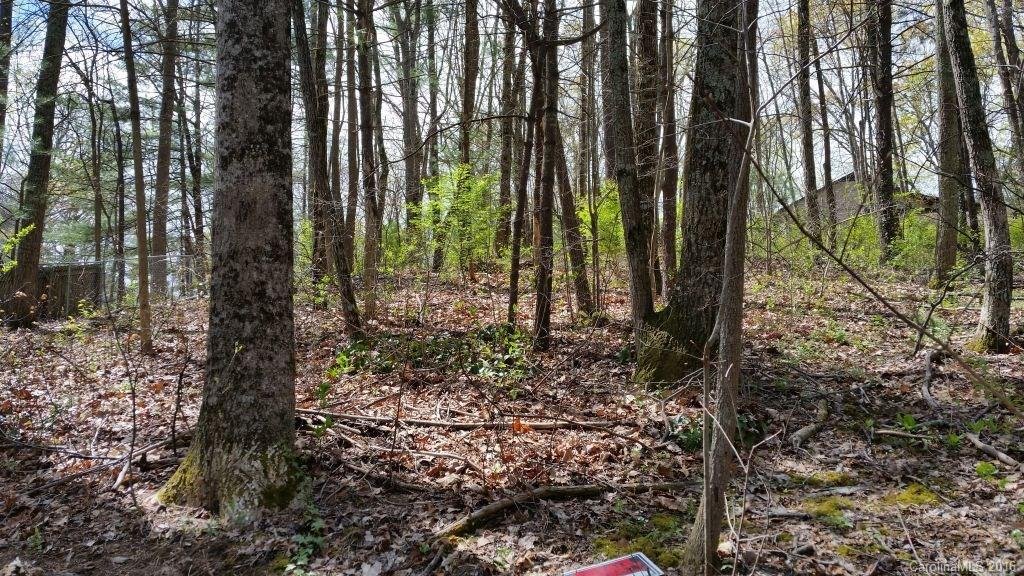 Property image 1 at 99999 Mayfair Place, Arden, NC 28704