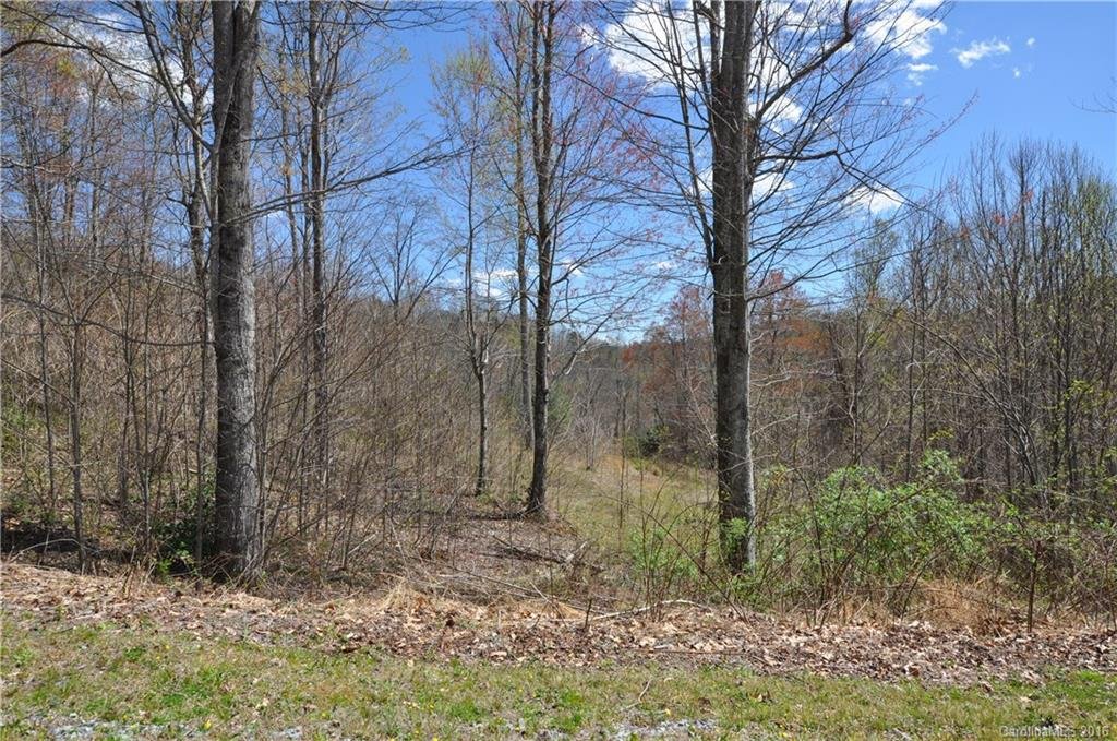 Property image 1 at 1063 Somersby Parkway, Hendersonville, NC 28739