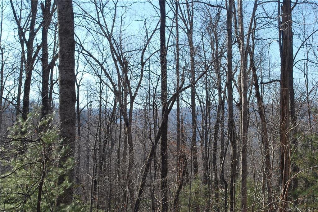 Property image 1 at Chc Reserve Road, Pisgah Forest, NC 28768