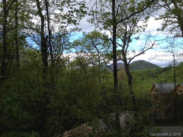 Property image 1 at 99999 Burnt Ridge Trail, Black Mountain, NC 28711