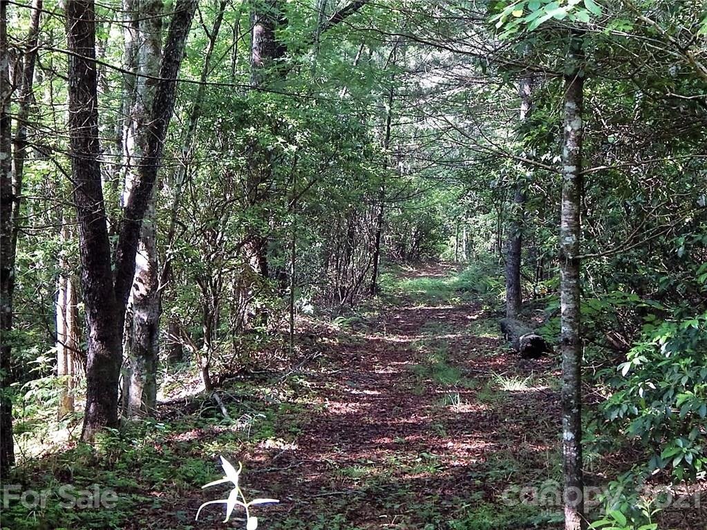 Property image 1 at 000 Fox Crossing None, Rosman, NC 28772