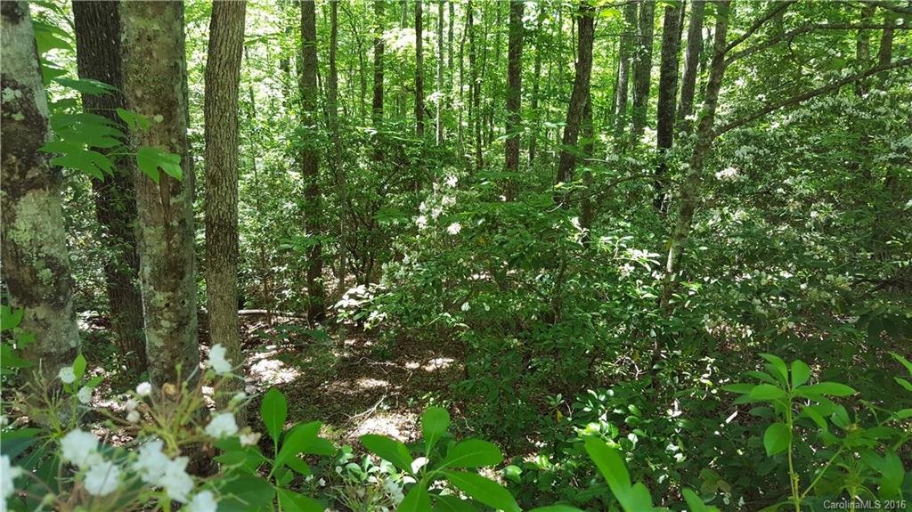 21 Sequoyah Woods Drive