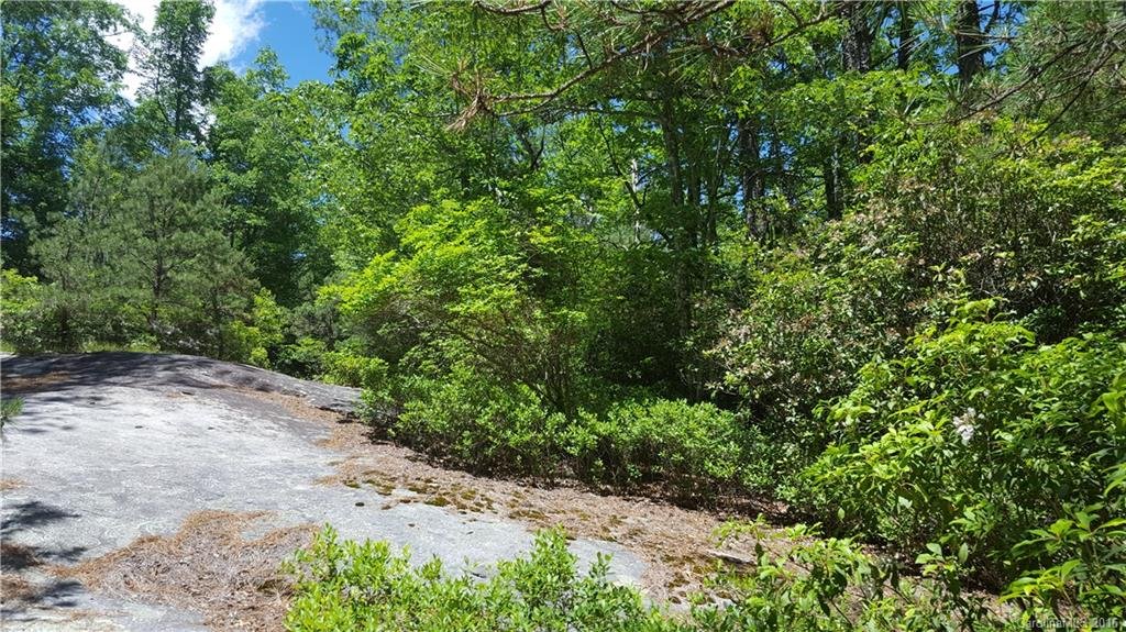 Property image 1 at 16 Sequoyah Woods Drive, Brevard, NC 28712