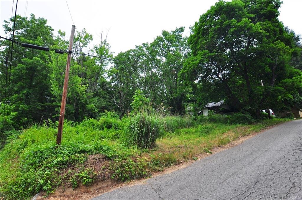 Property image 1 at 719 Center Street, Asheville, NC 28803