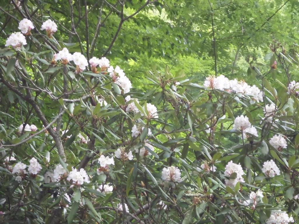 Property image 1 at 115 Tenderfoot Trail, Maggie Valley, NC 28751