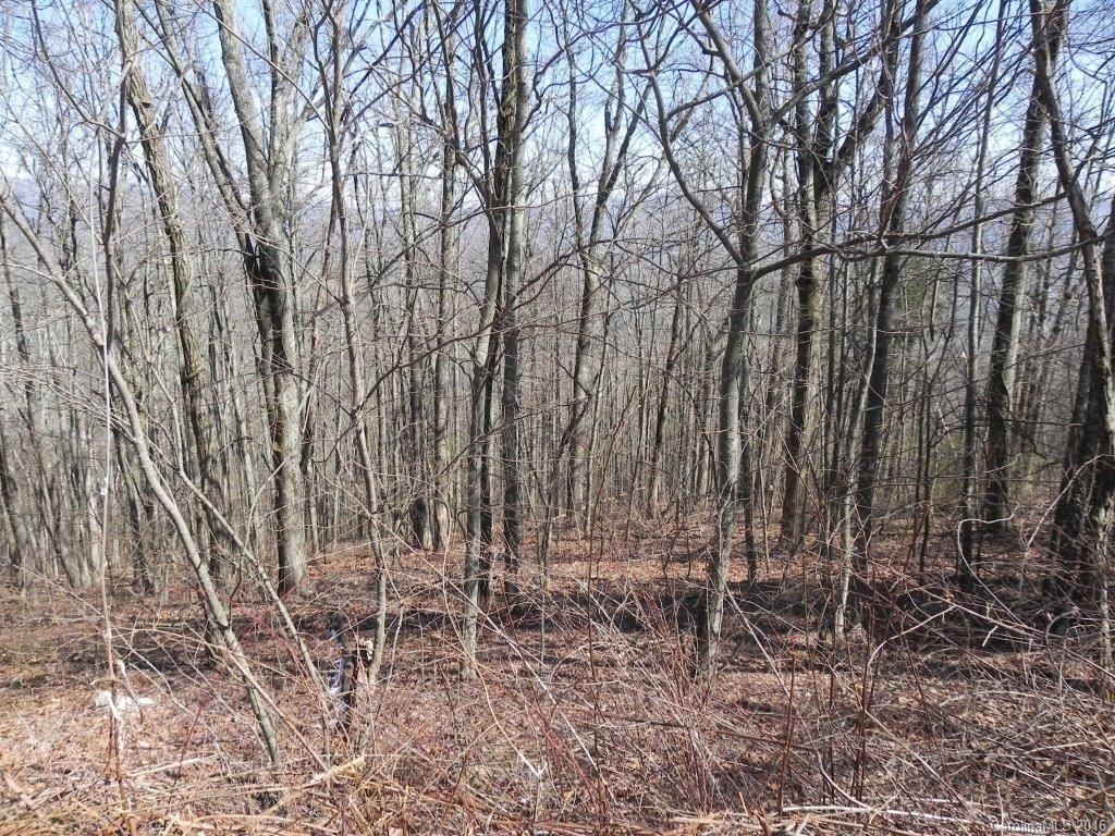 Property image 1 at Lot 339 Ebby Ridge None, Fairview, NC 28730