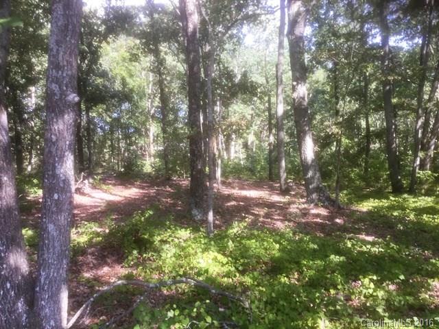 Property image 3 at 00 Huntington Farms Road, Catawba, SC 29704