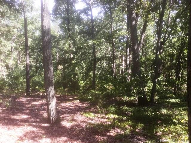Property image 4 at 00 Huntington Farms Road, Catawba, SC 29704