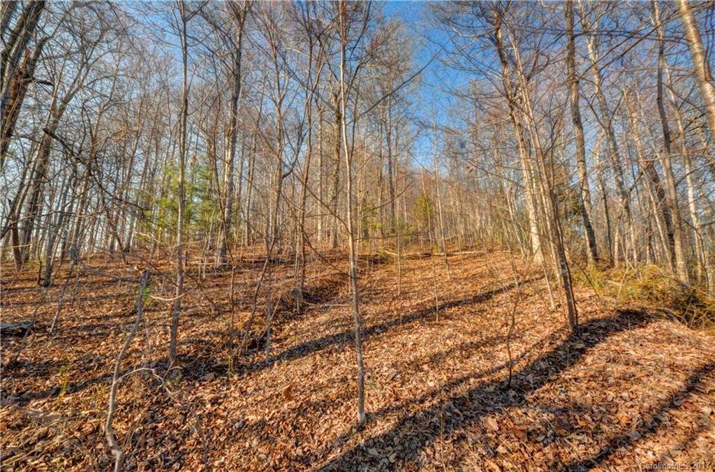 Property image 1 at 527 Overlook Park Drive, Hendersonville, NC 28792