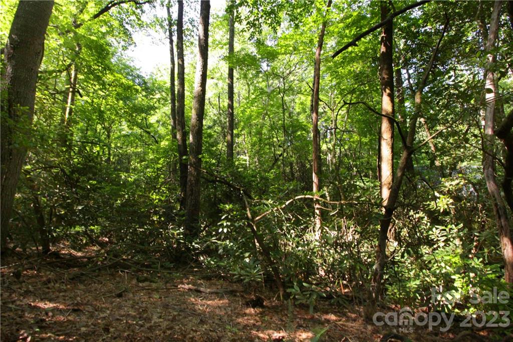 Lot 13 Laurel Ridge Road