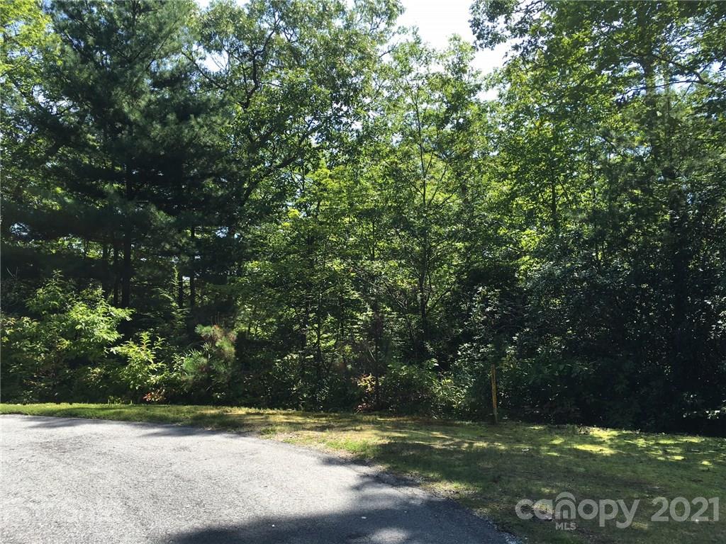 Property image 1 at M95 Hawks Crest, Brevard, NC 28712