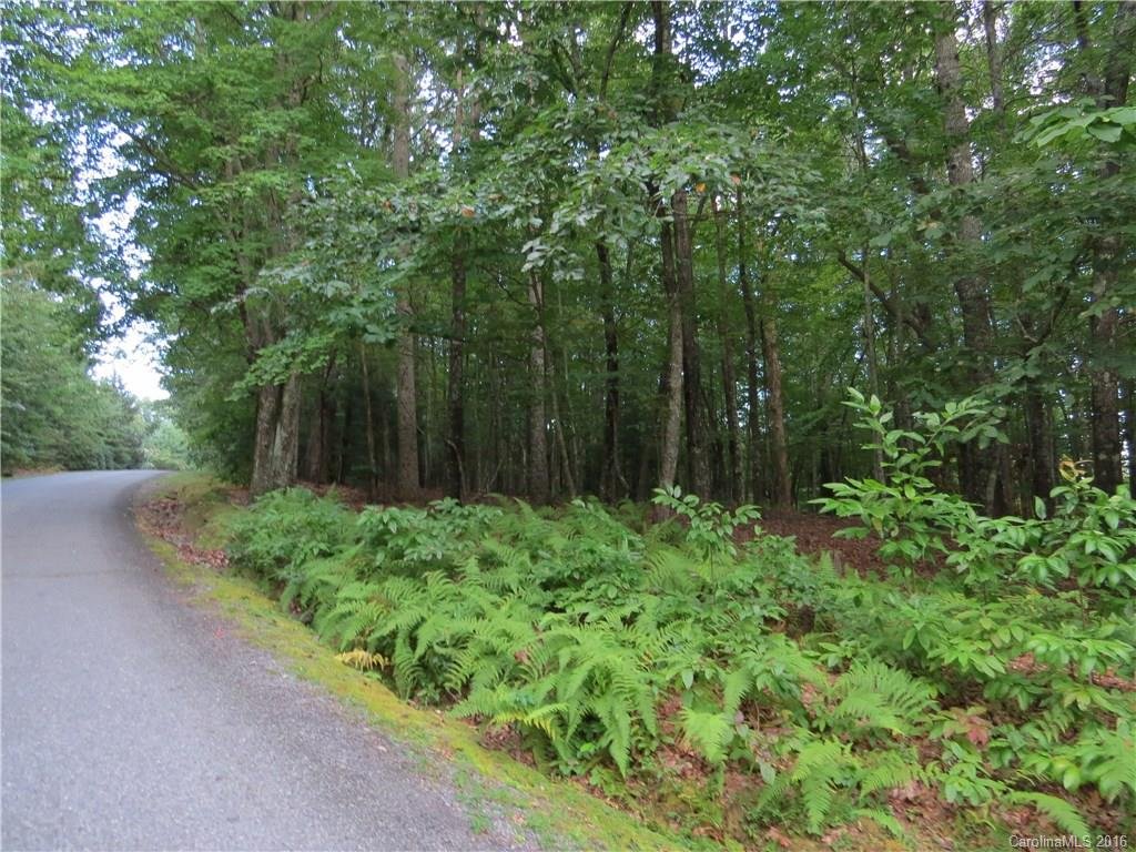 Property image 1 at L 27 Spanish Oak Drive, Cedar Mountain, NC 28718