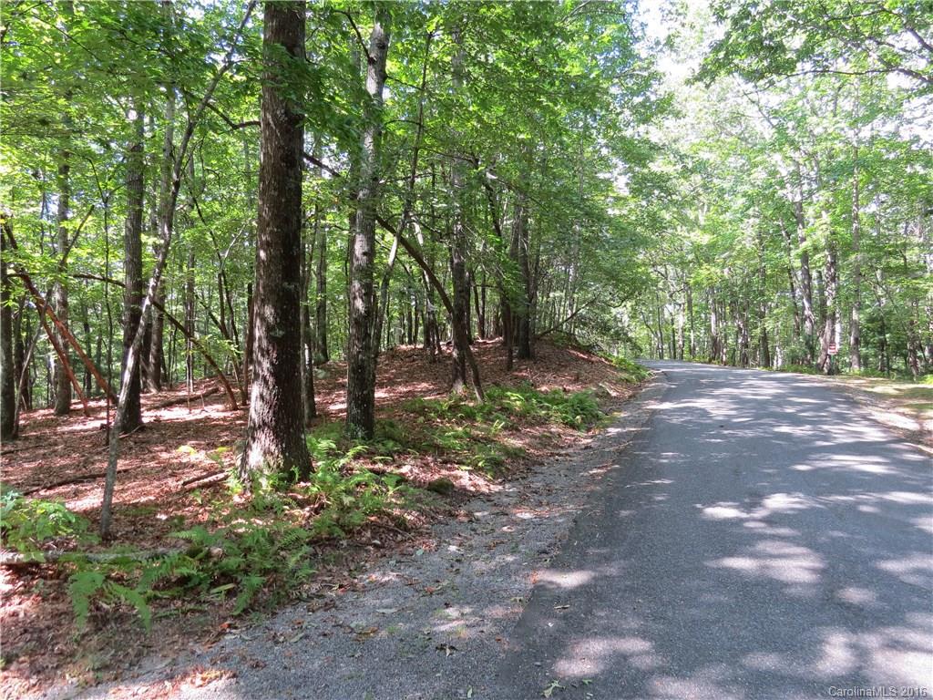 Property image 1 at L10 Spanish Oak Drive, Cedar Mountain, NC 28718