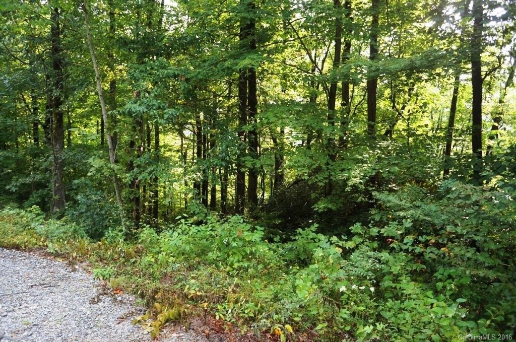 Property image 1 at Lot 43 Eastatoe Gap Road, Rosman, NC 28772