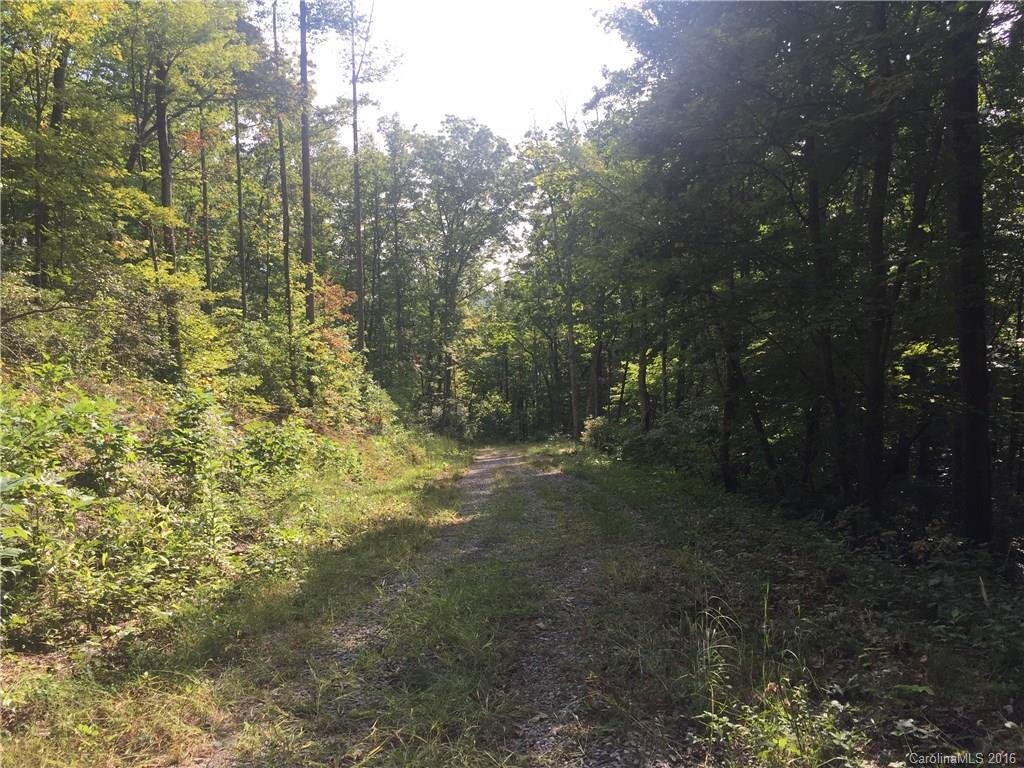 Property image 1 at 9999 Lower Flat Creek Road, Black Mountain, NC 28711