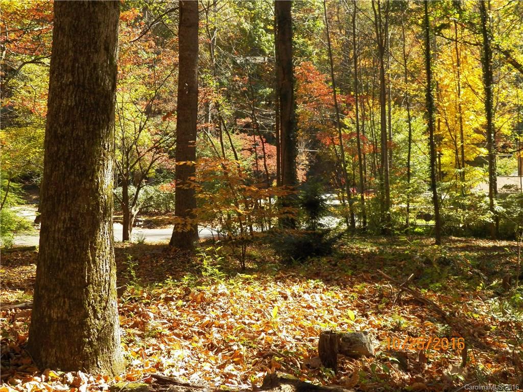 Property image 1 at 00 Creekside Drive, Maggie Valley, NC 28751