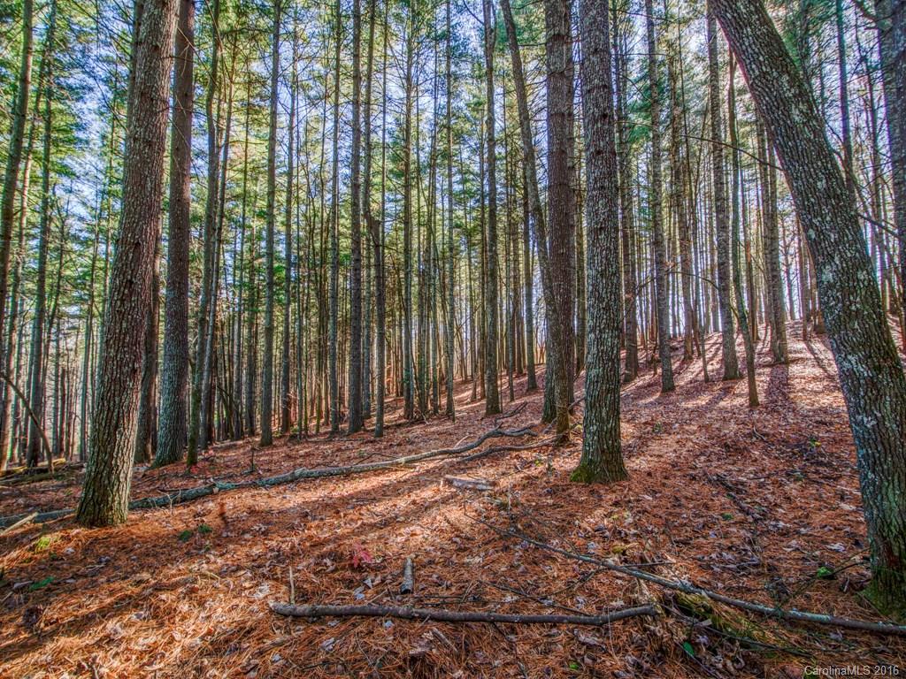 Property image 1 at Lot 7 Cane Creek Road, Fletcher, NC 28732