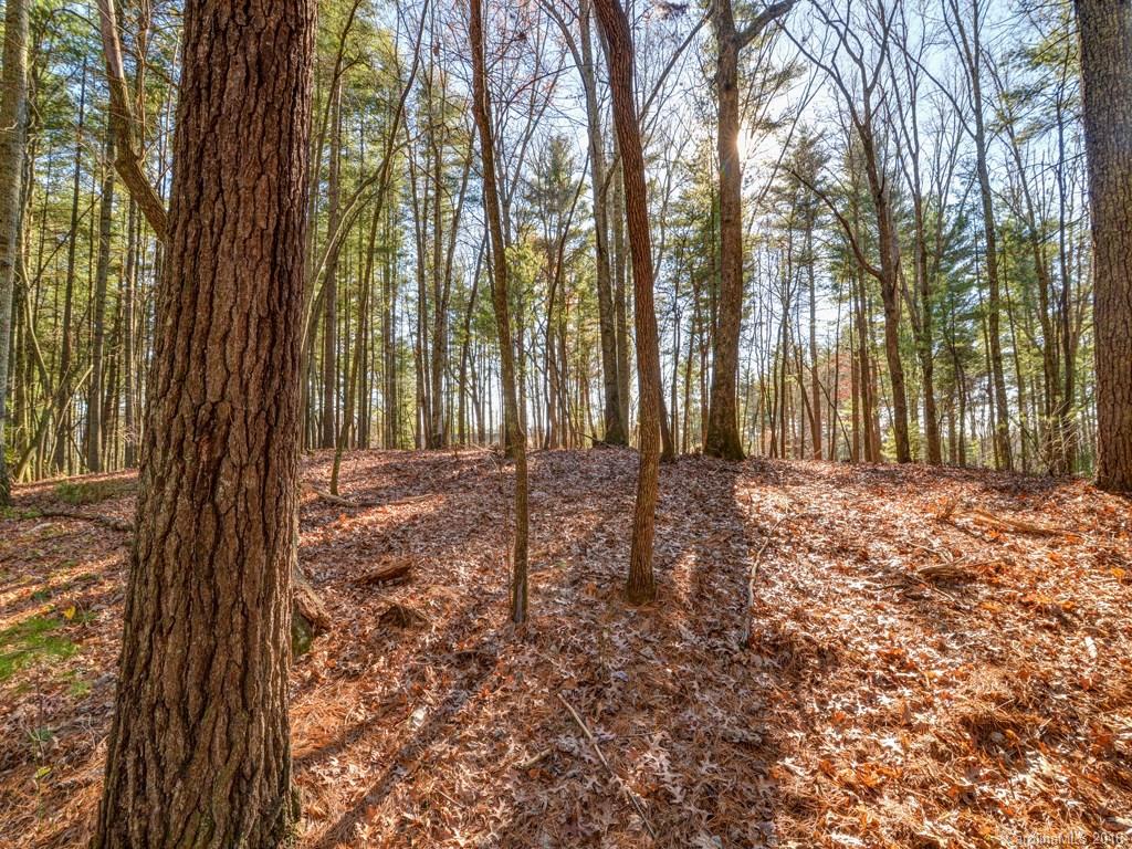 Property image 1 at Lot 5 Olivia Trace Drive, Fletcher, NC 28732