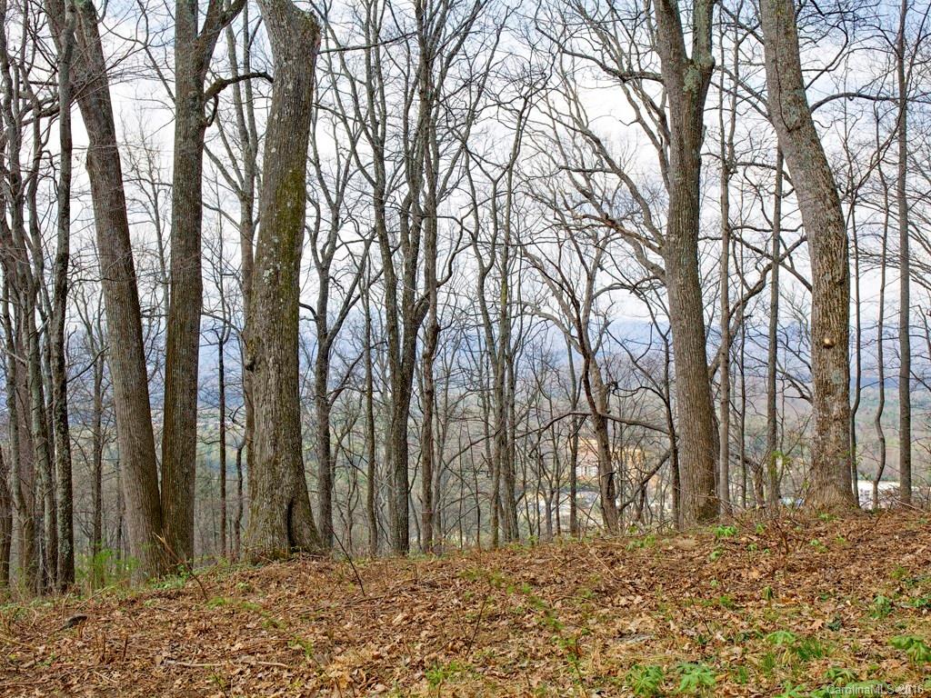 Property image 1 at 99999 Old Forest Drive, Asheville, NC 28803