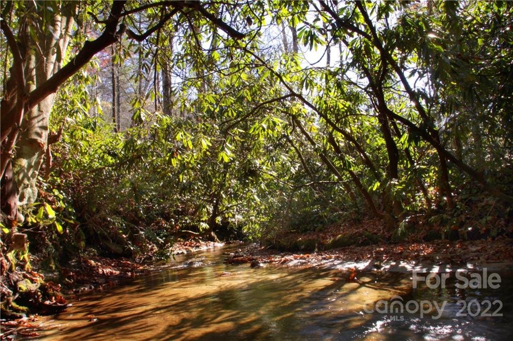 Property image 1 at Lot 62 Peppervine Circle, Brevard, NC 28712