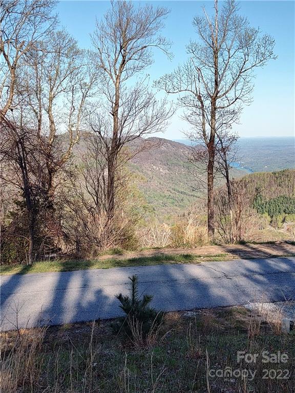 Property image 1 at 119 N Lure View Lane, Hendersonville, NC 28792