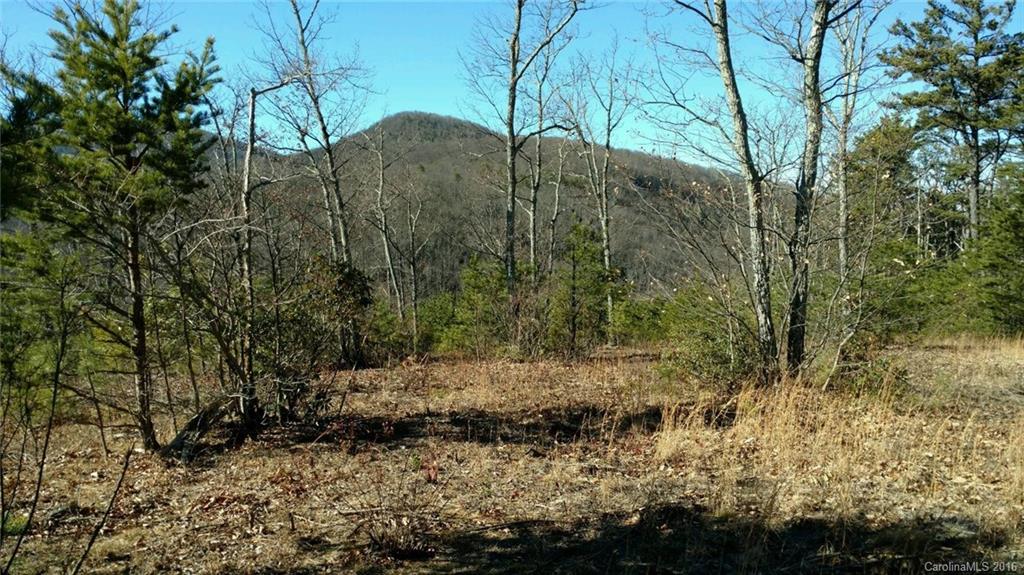 Property image 1 at 170 N Lure View Lane, Hendersonville, NC 28792