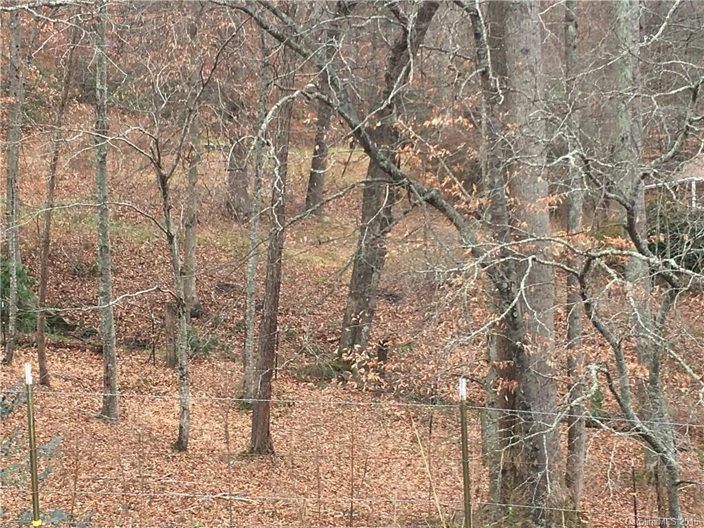 Property image 1 at 000 Riddle Road, Swannanoa, NC 28778