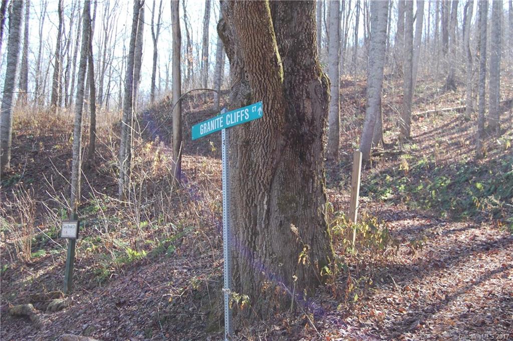 Property image 1 at 9999 Granite Cliffs Court, Waynesville, NC 28785