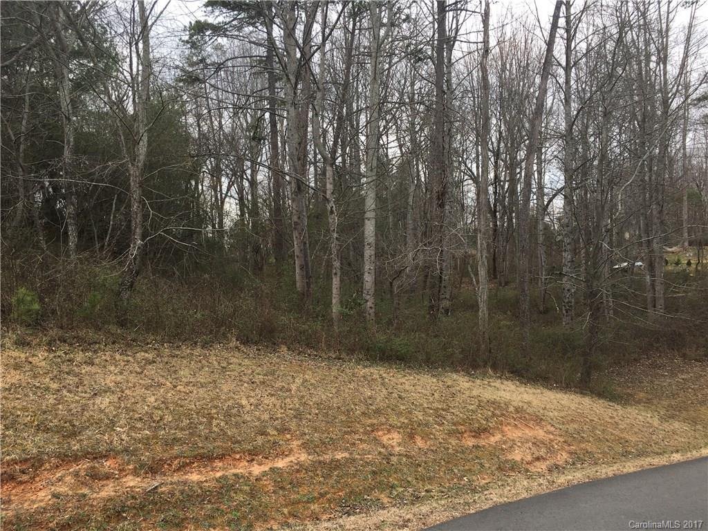 Property image 1 at 4 Farm Pond Lane, Candler, NC 28715