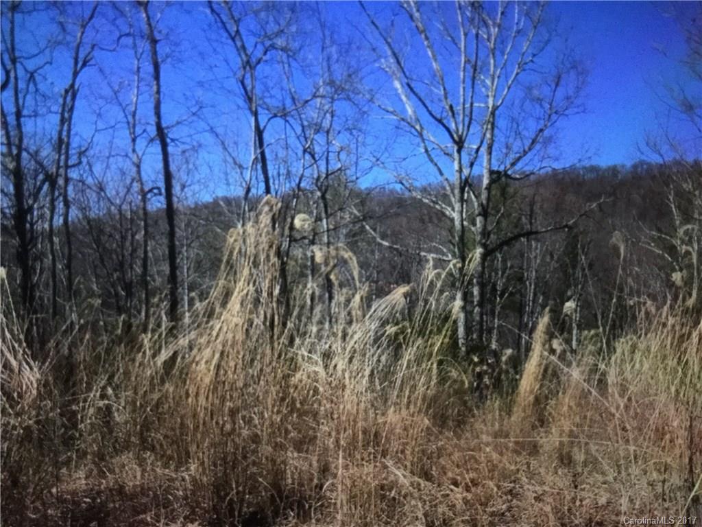 Property image 1 at 1055 Morgan Hill Road, Black Mountain, NC 28711