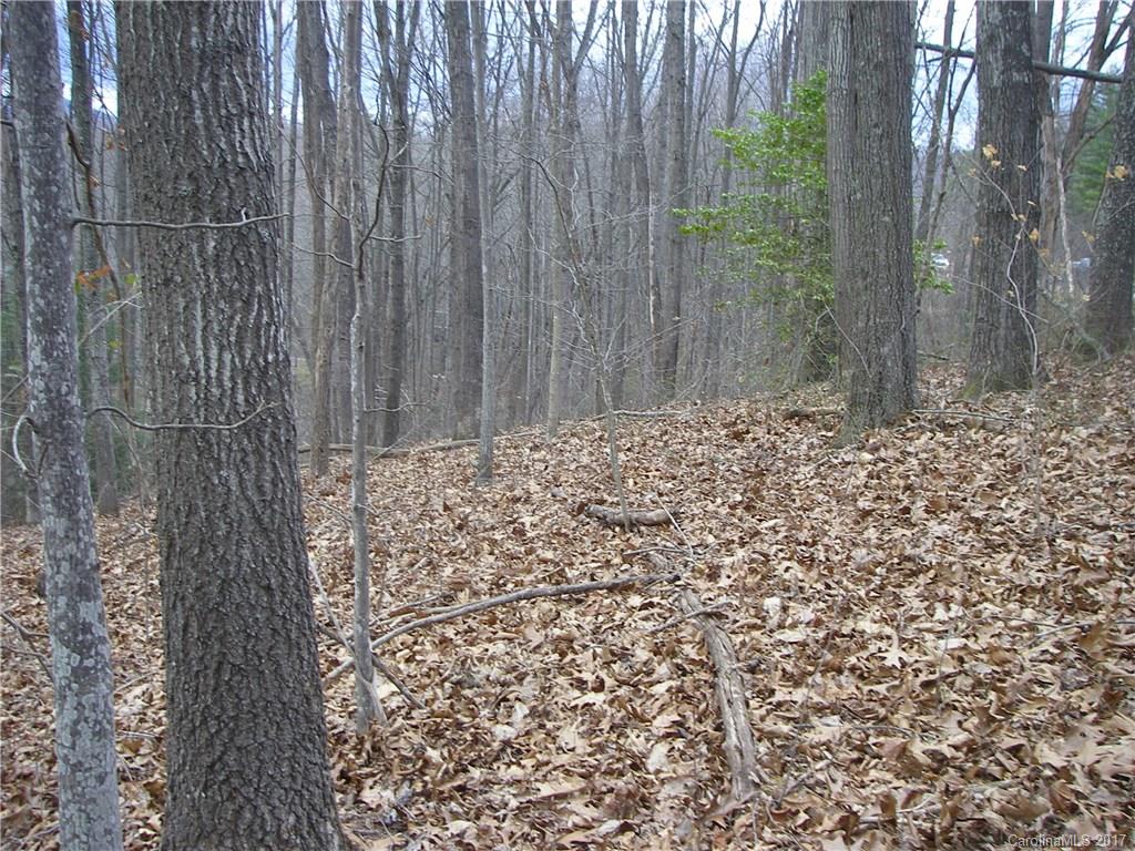 Property image 1 at 40 Pleasant Hill Circle, Waynesville, NC 28786