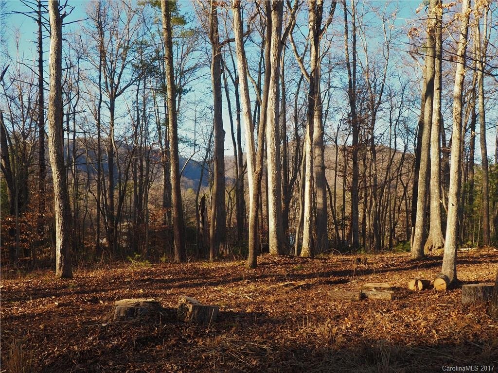 Property image 1 at 0000 Snook S Path, Mars Hill, NC 28754