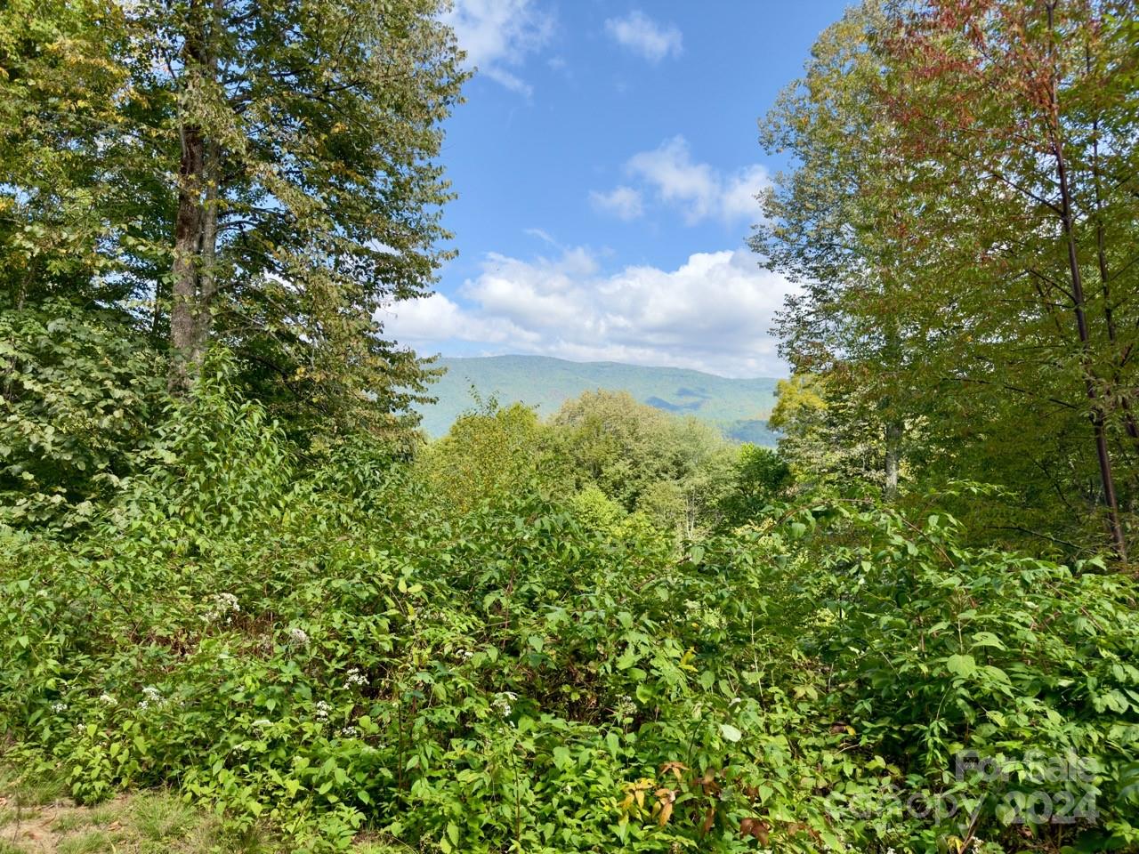 Property at 0000 Big Spring Trail, Qualla, NC 28719