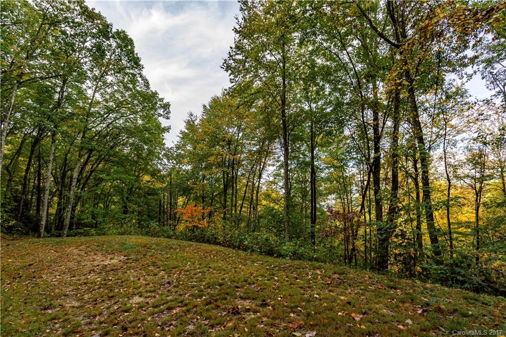 Property image 1 at 58 Buddy Boy Lane, Qualla, NC 28719