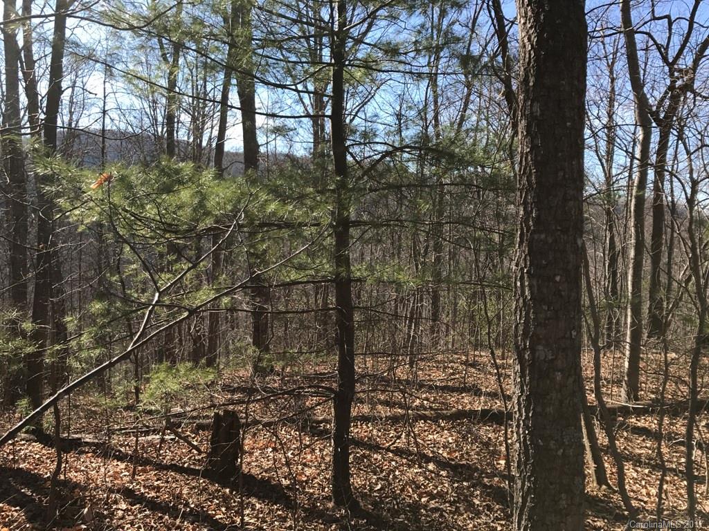 Property image 1 at 999 Christian Creek Road, Swannanoa, NC 28778