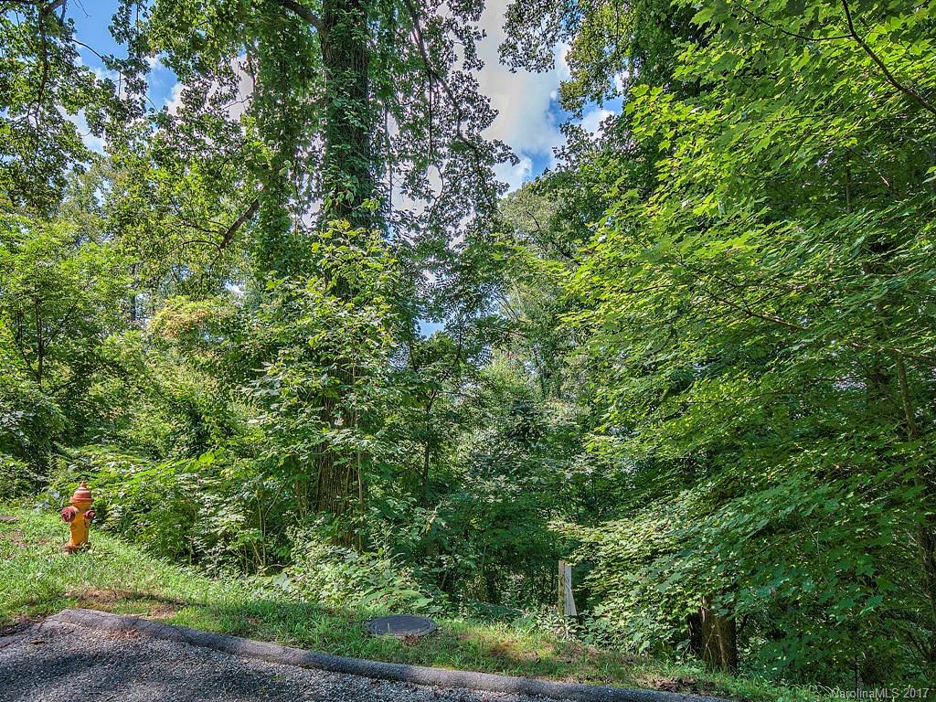 Property image 1 at Lot 23 Peregrine Lane, Asheville, NC 28804