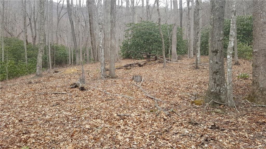 Property image 1 at Lot 28 Buckeye Branch Drive, Clyde, NC 28721