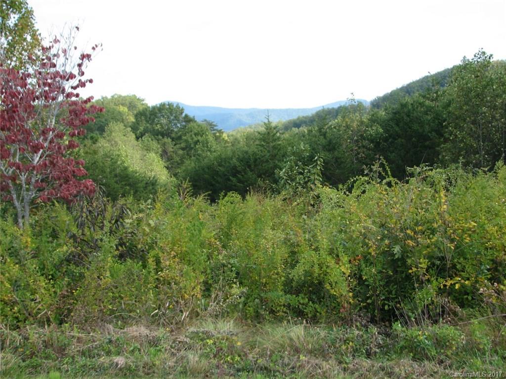 Property image 1 at Lot 35 Stow A Way Drive, Nebo, NC 28761